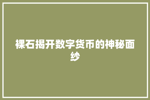 裸石揭开数字货币的神秘面纱