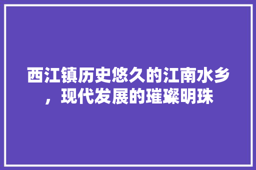 西江镇历史悠久的江南水乡，现代发展的璀璨明珠