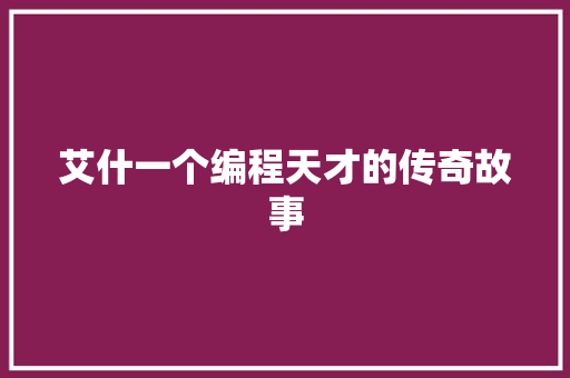 艾什一个编程天才的传奇故事