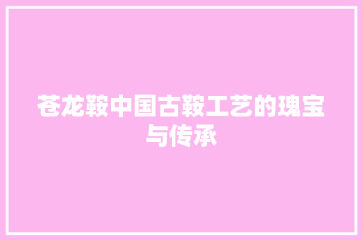 苍龙鞍中国古鞍工艺的瑰宝与传承
