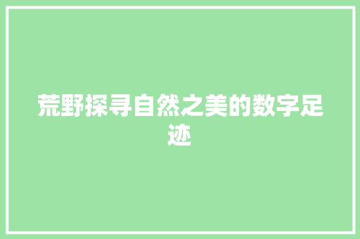 荒野探寻自然之美的数字足迹
