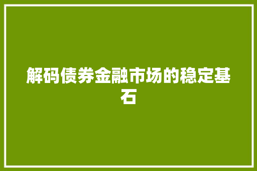 解码债券金融市场的稳定基石