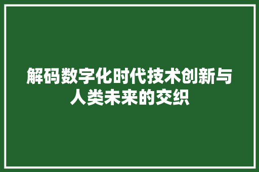 解码数字化时代技术创新与人类未来的交织