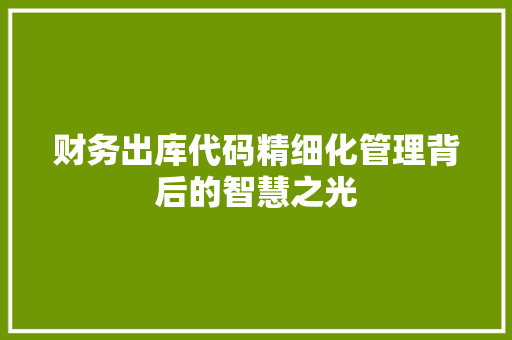 财务出库代码精细化管理背后的智慧之光