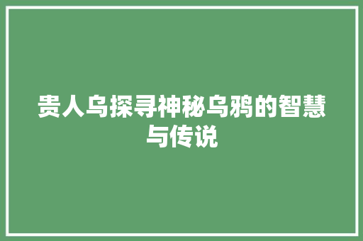 贵人乌探寻神秘乌鸦的智慧与传说