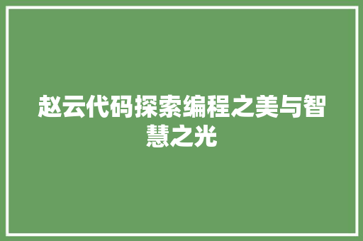 赵云代码探索编程之美与智慧之光
