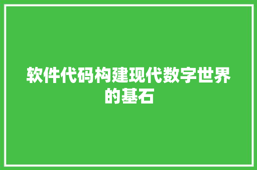 软件代码构建现代数字世界的基石