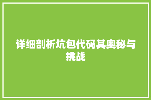 详细剖析坑包代码其奥秘与挑战