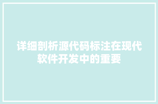 详细剖析源代码标注在现代软件开发中的重要