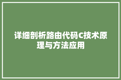 详细剖析路由代码C技术原理与方法应用