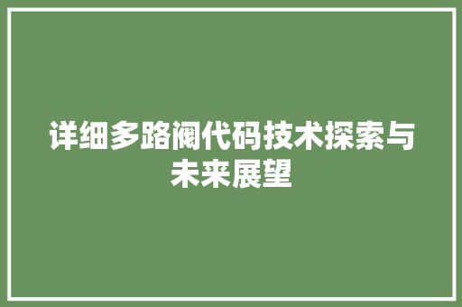详细多路阀代码技术探索与未来展望