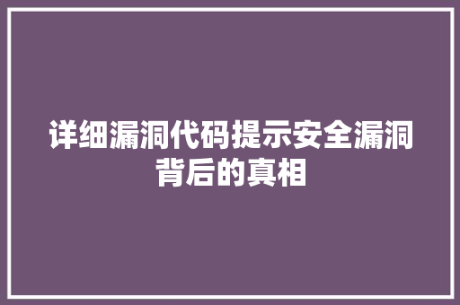 详细漏洞代码提示安全漏洞背后的真相