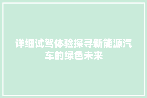详细试驾体验探寻新能源汽车的绿色未来