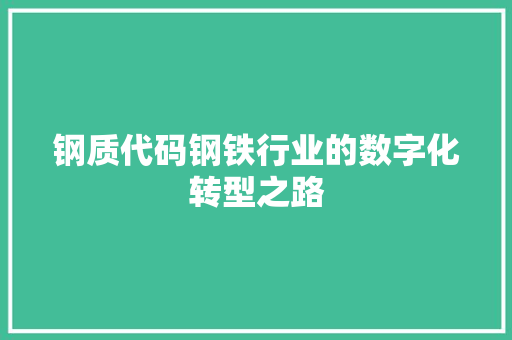 钢质代码钢铁行业的数字化转型之路
