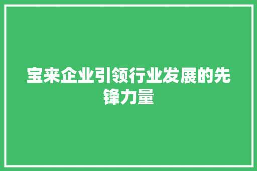 宝来企业引领行业发展的先锋力量