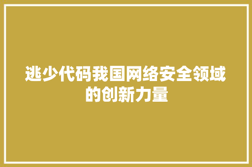 逃少代码我国网络安全领域的创新力量