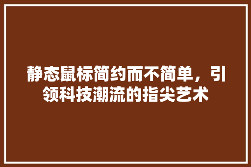 静态鼠标简约而不简单，引领科技潮流的指尖艺术