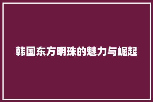 韩国东方明珠的魅力与崛起