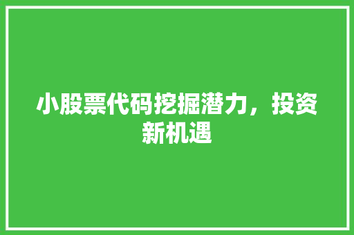 小股票代码挖掘潜力，投资新机遇
