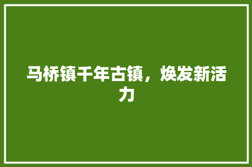 马桥镇千年古镇，焕发新活力