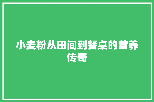 小麦粉从田间到餐桌的营养传奇