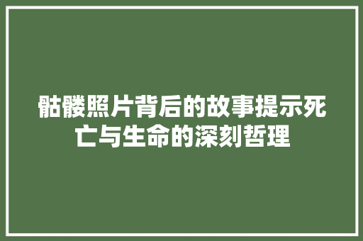 骷髅照片背后的故事提示死亡与生命的深刻哲理