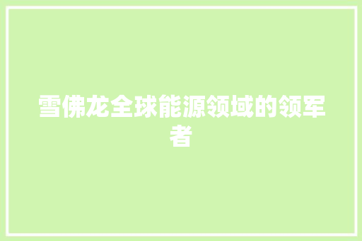 雪佛龙全球能源领域的领军者