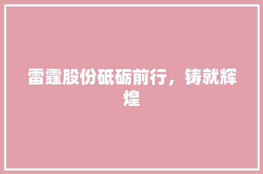 雷霆股份砥砺前行，铸就辉煌