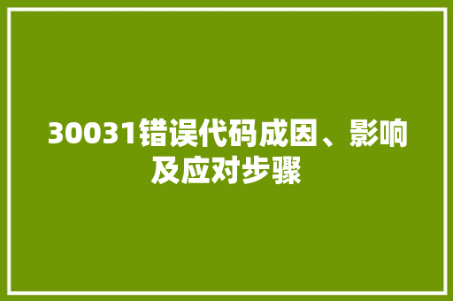 30031错误代码成因、影响及应对步骤