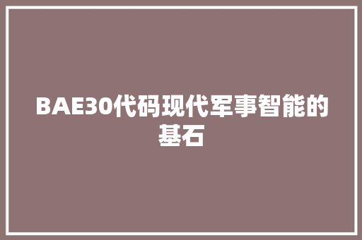 BAE30代码现代军事智能的基石