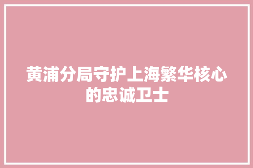 黄浦分局守护上海繁华核心的忠诚卫士