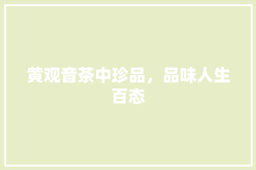 黄观音茶中珍品，品味人生百态