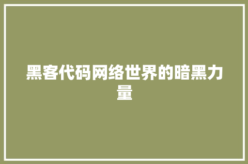 黑客代码网络世界的暗黑力量