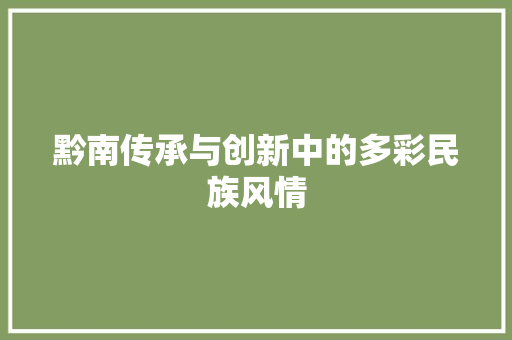 黔南传承与创新中的多彩民族风情
