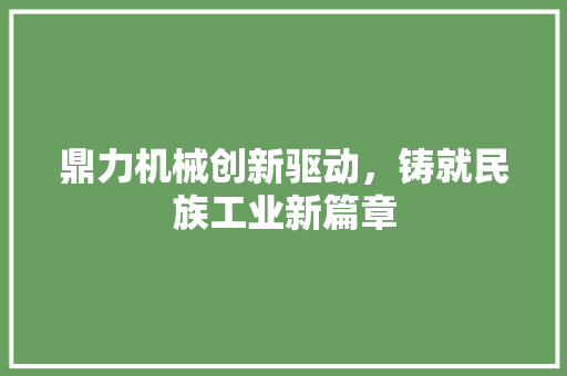 鼎力机械创新驱动，铸就民族工业新篇章