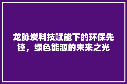龙脉炭科技赋能下的环保先锋，绿色能源的未来之光