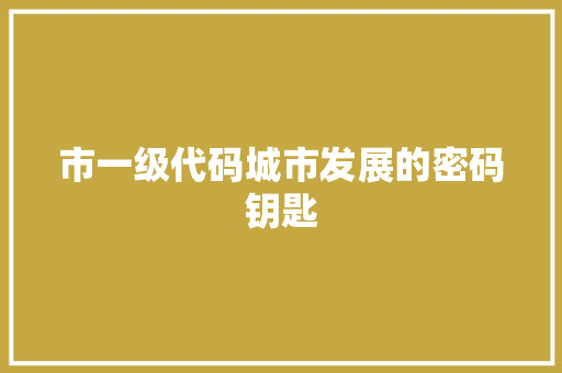 市一级代码城市发展的密码钥匙