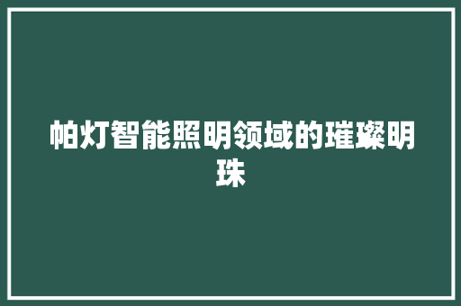帕灯智能照明领域的璀璨明珠