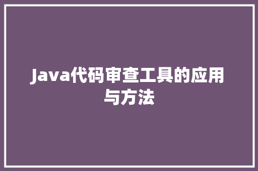 Java代码审查工具的应用与方法