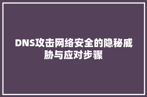 DNS攻击网络安全的隐秘威胁与应对步骤