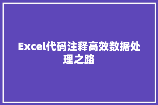 Excel代码注释高效数据处理之路