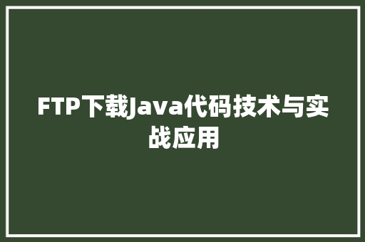 FTP下载Java代码技术与实战应用