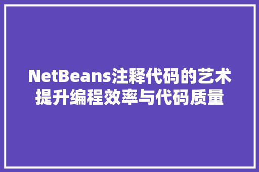 NetBeans注释代码的艺术提升编程效率与代码质量