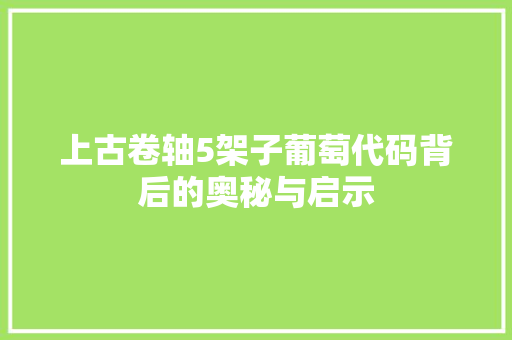 上古卷轴5架子葡萄代码背后的奥秘与启示