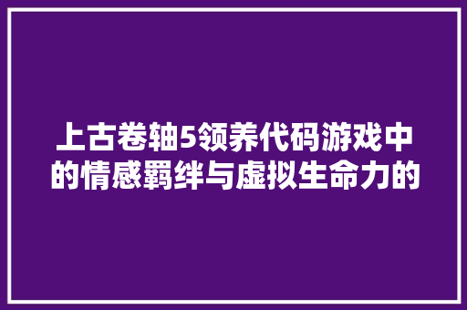 上古卷轴5领养代码游戏中的情感羁绊与虚拟生命力的觉醒