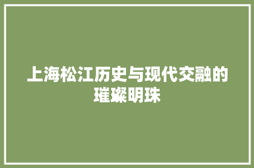 上海松江历史与现代交融的璀璨明珠