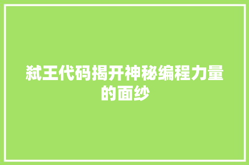 弑王代码揭开神秘编程力量的面纱