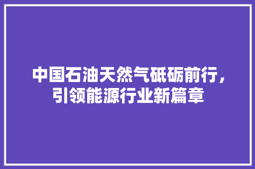 中国石油天然气砥砺前行，引领能源行业新篇章