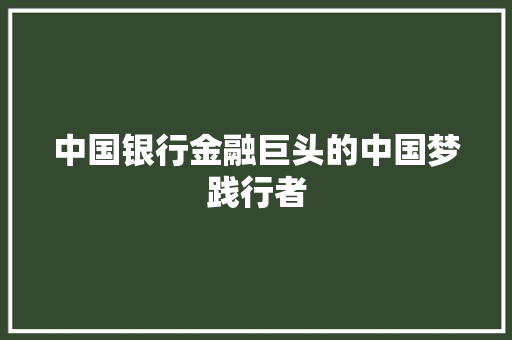 中国银行金融巨头的中国梦践行者