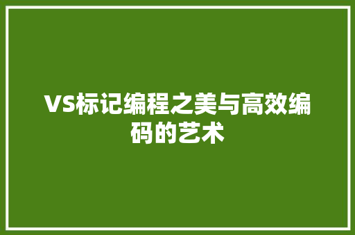 VS标记编程之美与高效编码的艺术